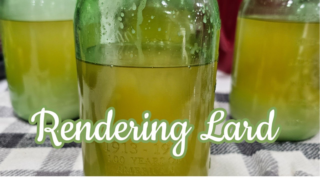 Rendering Lard Adding to our Health Journey YouTube