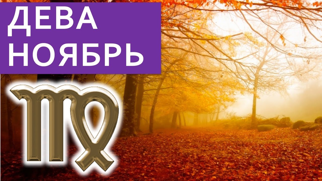 Дисскусии по теме: Гороскоп на ноябрь 2019 Дева Дисскусии по теме: Гороскоп на ноябрь 2019 Дева