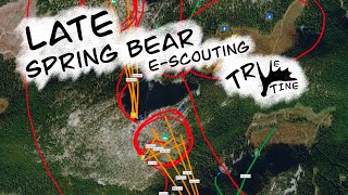 E-Scouting a Late Spring Bear Hunt 2024