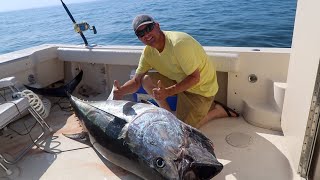 Bluefin Tuna on Cape Cod: Whales, Sharks, and a Harrowing Harpoon Incident