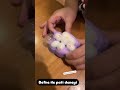 Defne deniz kırtasiyeden aldığı squishyle şırınga deneyi yapıyı #keşfet #shortvideo