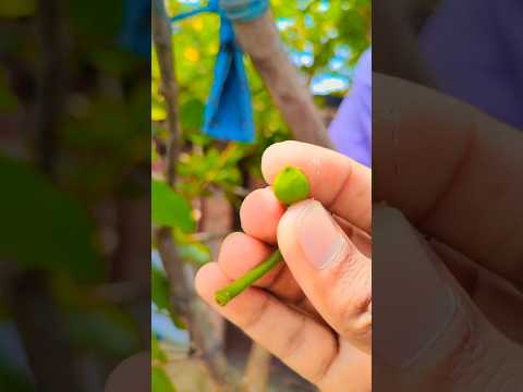 loveit#shortvideo #funny #comedyfilms #comedy #shortvideos#subscribe#subscribe#trending #shortsfeed