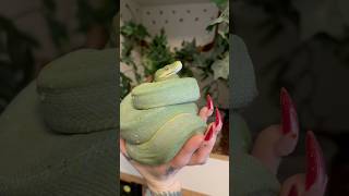 GTP Pokeball lol #greentree #python #snake #reptiles #snakes #gtps #exotic #tree #snakevideo