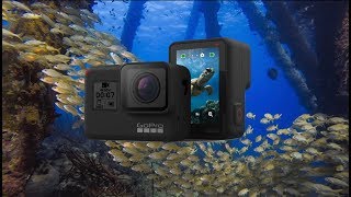 GoPro Hero 8  The BEST Underwater Settings