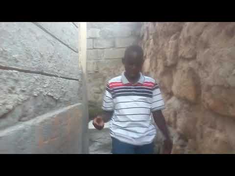 Video: Osmunde