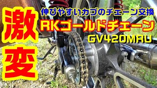 【カスタム】スーパーカブC125にゴールドチェーン