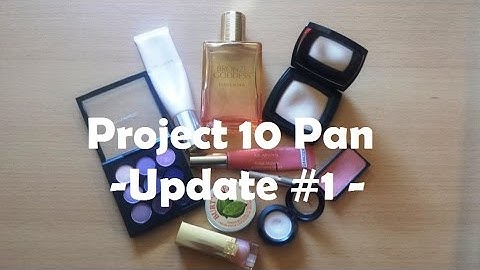 My 1st Project 10 Pan - Update #1