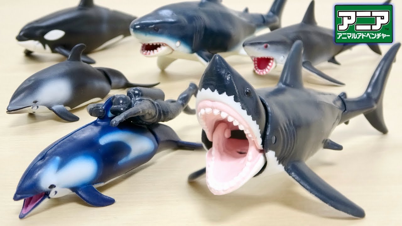 アニア【新作フィギュア】ホホジロザメの大口径ギミック & カマイルカ