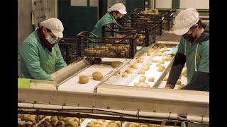 Kiwi Atlántico, a marca que asociou o kiwi a Galicia