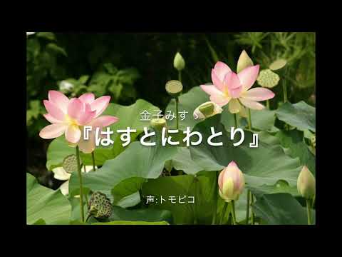 【読み聞かせ動画】金子みすゞ『はすとにわとり』Japanese poem "Lotus and Chicken" by Misuzu Kaneko