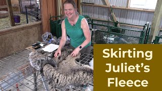 Skirting Juliet's Fleece for my 2024 Fleece Auction