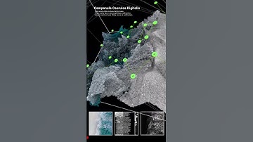 Doing some new super-easy tests using video as a particles emitter in TouchDesigner