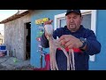 Caldo de mariscos para la gripa