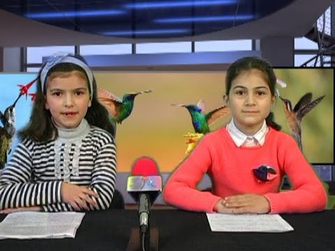 მიკროფონი - კოლიბრები