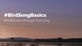 #BirdSongBasics - A Second Mindful Minute