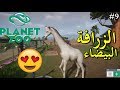 الحلقة 9 - Planet Zoo - الزرافة البيضاء 