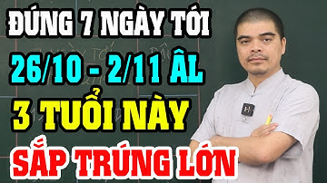 Đúng 7 Ngày Tới: 3 Con Giáp Trúng Lớn Liên Hoàn, Vận May Chấn Động, Giàu Bất Ngờ!