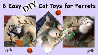 6 Easy DIY Cat Toys for Ferrets