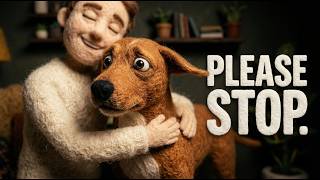 Stop Hugging Your Dog: 5 Things You Do Out of Love That Stress Them Out