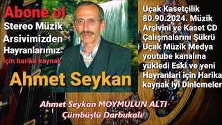 Ahmet Seykan MOYMULUN ALTI  ÇÜMBÜŞLÜ Darbukalı #OYUN #HAVASI