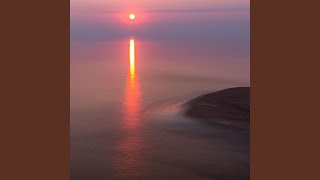 Bite Bits Monthly Magazine