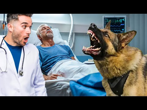 Vidéo: 6 choses que je souhaiterais connaître avant de voler avec mon chien