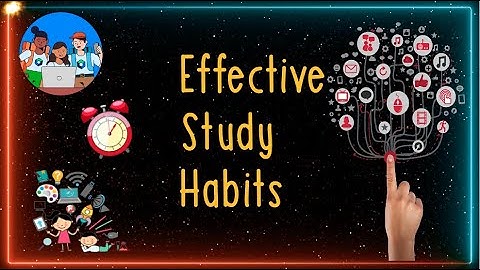 How To Build Effective Study Habits To Succeed