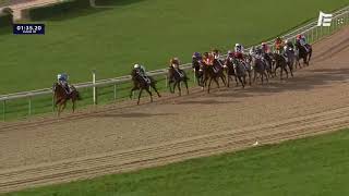 Vidéo de la course PMU PRIX DES PECHERS