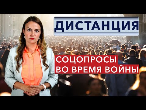 Видео: 5 патриотических животных мы чествуем этот день независимости