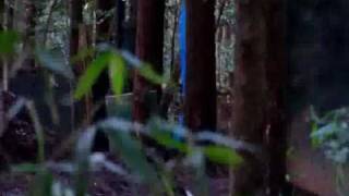 【サバゲ】CIMAX20091206.FLV