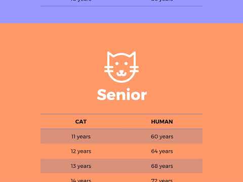 Video: Cat Years To Human Years: Câți Ani Are Pisica Mea?