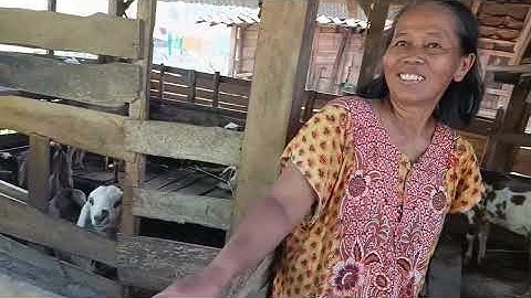 BELUM KAWIN JANGAN TONTON SEGERA TUTUP LAYAR..!! KEHIDUPAN SUKU JAWA DESA TERPENCIL JAWA TENGAH