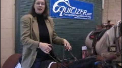 Riding Instructor & Author Lisa Wysocky Talks About The Equicizer