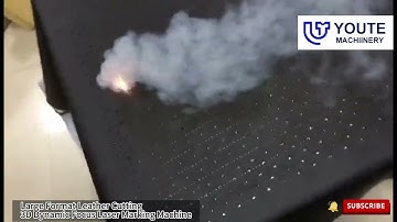 Large Format Leather Cutting 3D Dynamic Focus Laser Marking Engraving Machine I#fiberlaser #co2laser