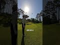 양잔디 어프로치 팁 #golflessons #golf