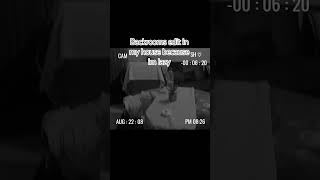 #edit #horror #music #audio