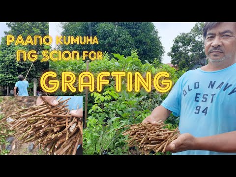 Video: Paano Mag-host ng Plant Swap: Mga Tip Para sa Paghawak ng Plant Exchange