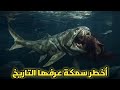 عظمية دانكل المفترس الذي أرعب المحيطات قبل 360 مليون سنة ماذا لو عاد للظهور اليوم