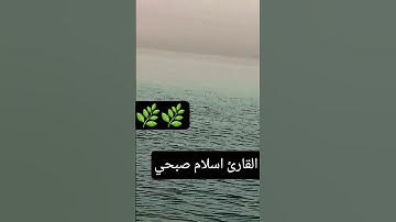 #تلاوة_هادئة #تلاوة_خاشعة #اسلام_صبحي #خواتيم_سورة_المؤمنون #إسلام_صبحي #سورة_المؤمنون #قرآن_كريم 🌿