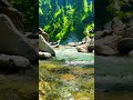 Crystal Clear Water Flowing Through Mountain | Pure Nature Relaxation #waterfall #crystalclearwater