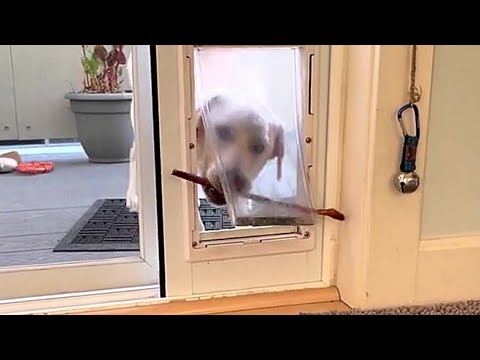 UNEXPECTED MEME COMPILATION V6
