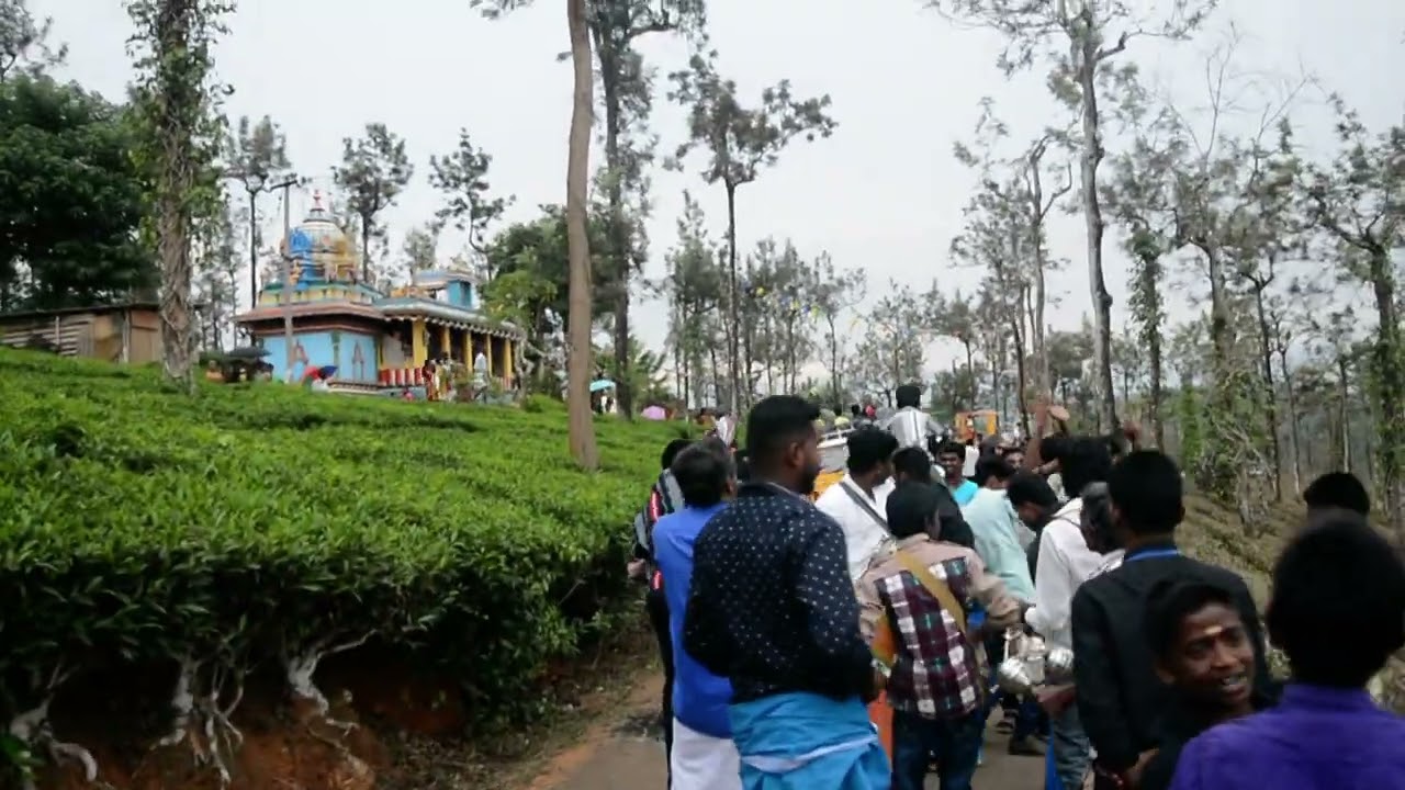 நெல்லியாளம் முத்துமாரியம்மன் கோவில் திருவிழா தேர்/ மேலவதியம்