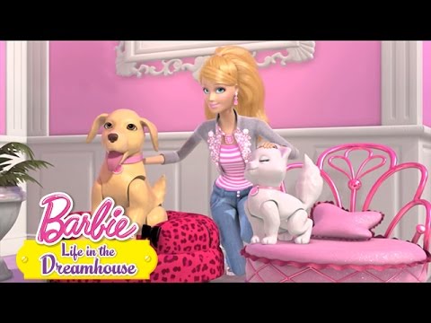 Vídeo: Problemas com cães de Ken e Barbie