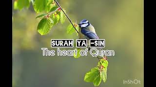 Most beautiful Surah Yasin (يس) | most beautiful Quran tilawat #trending #viral #quran #islam #like