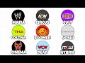 Every Pro Wrestling Company Explained in 11 Minutes Mp3 Song
