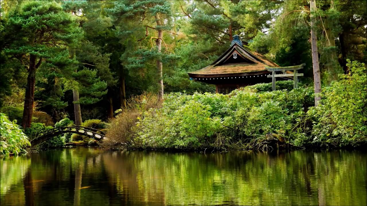 3 Horas De Musica Relajante Musica De Relajacion Y Meditacion Musica Para Dormir Musica Zen Youtube