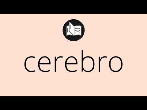 Que significa CEREBRO • cerebro SIGNIFICADO • cerebro DEFINICIÓN • Que es CEREBRO