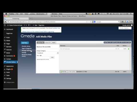 How to add an image using Gmedia Gallery for Wordpress