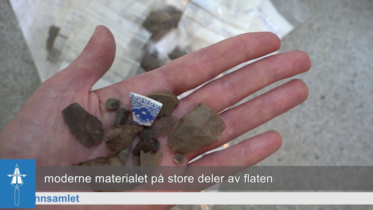 Archaeological excavations: weekly news 4