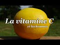 La vitamine C et les hommes